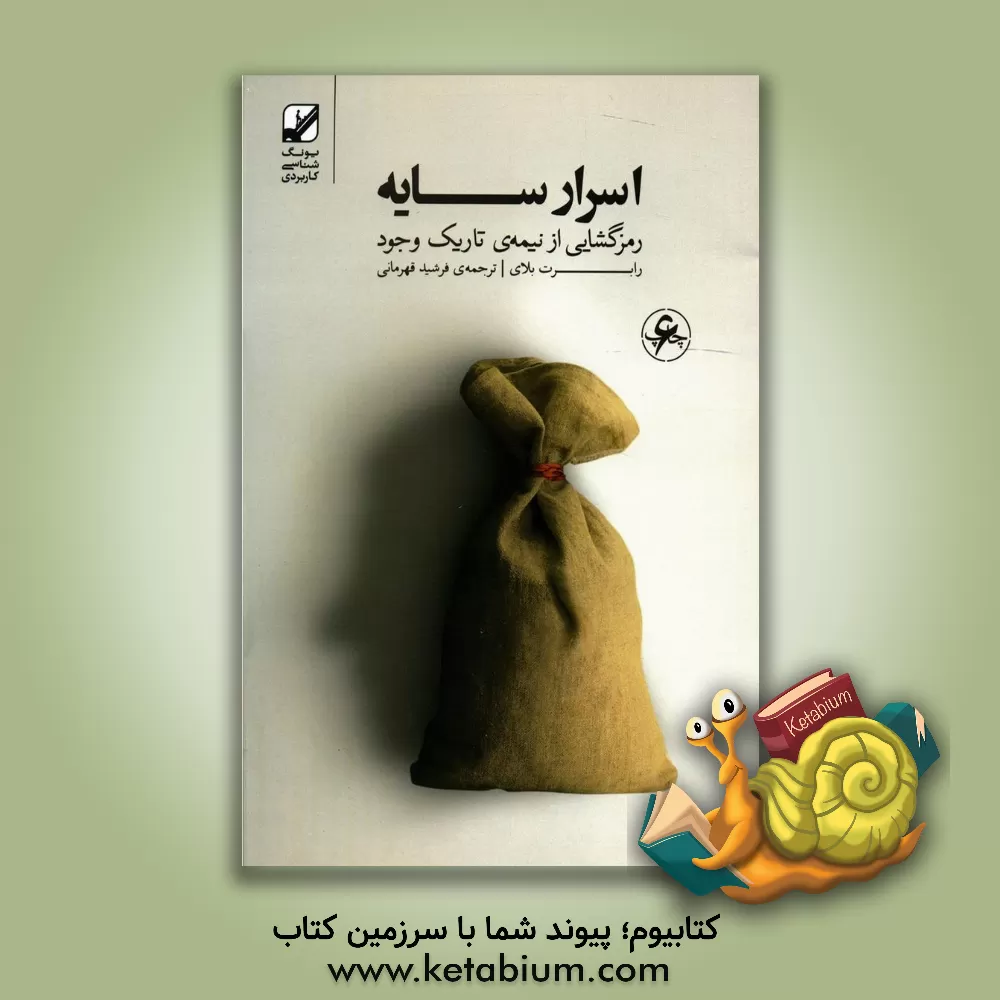 کتاب اسرار سایه: رمزگشایی از نیمه تاریک وجود اثر رابرت‌ بلای