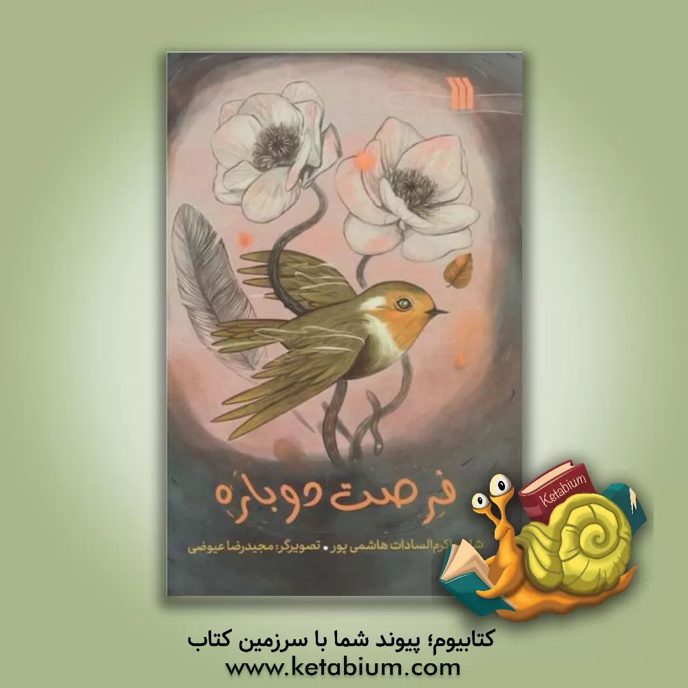 کتاب فرصت دوباره اثر اکرم‌السادات هاشمی‌پور