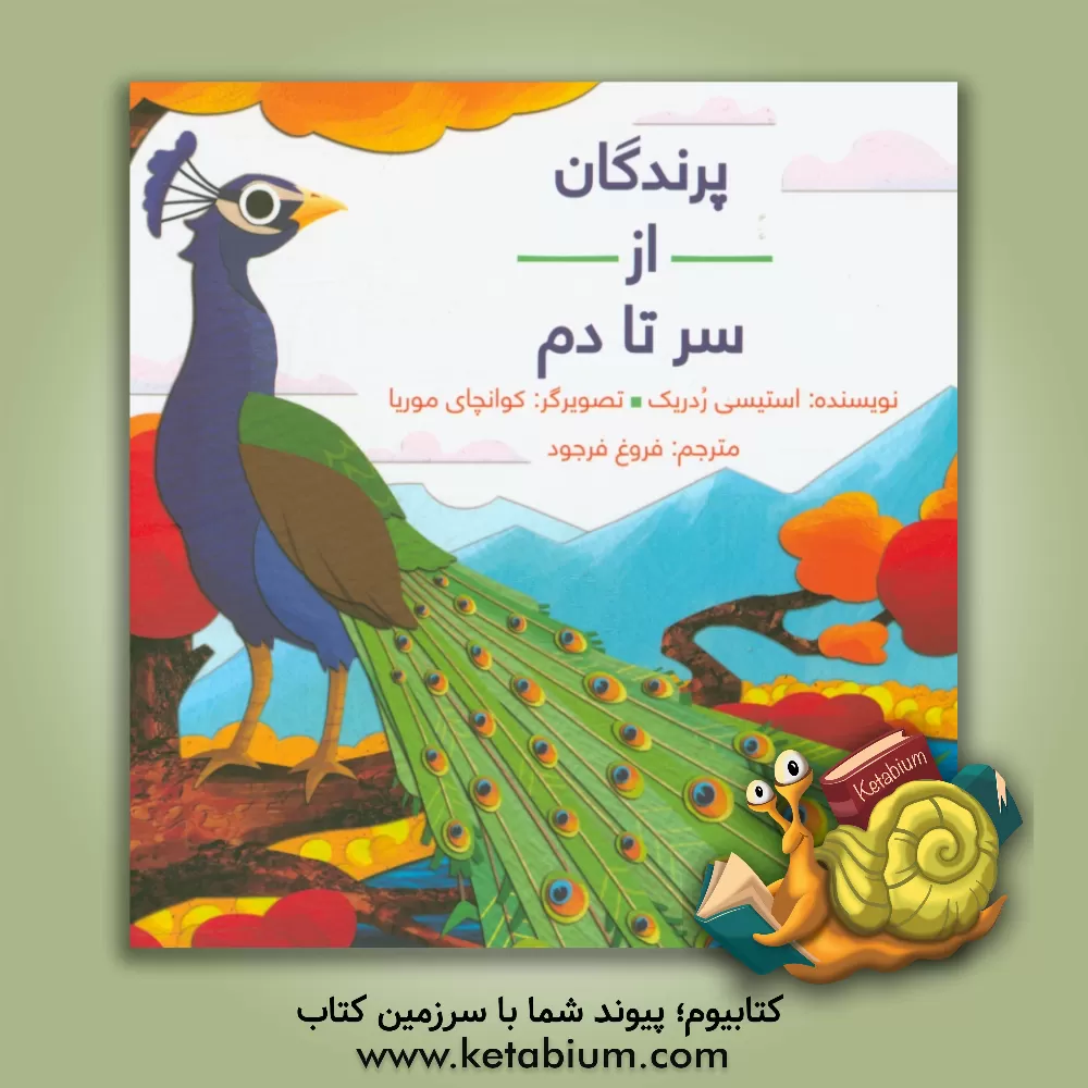 کتاب پرندگان از سر تا دم اثر استیسی ردریک