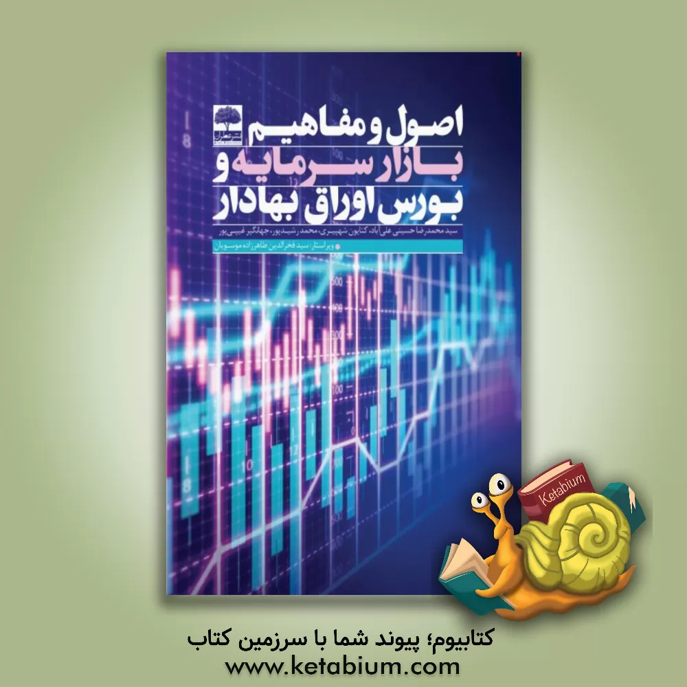 کتاب اصول و مفاهیم بازار سرمایه و بورس اوراق بهادار اثر سیدمحمدرضا حسینی‌علی‌آباد