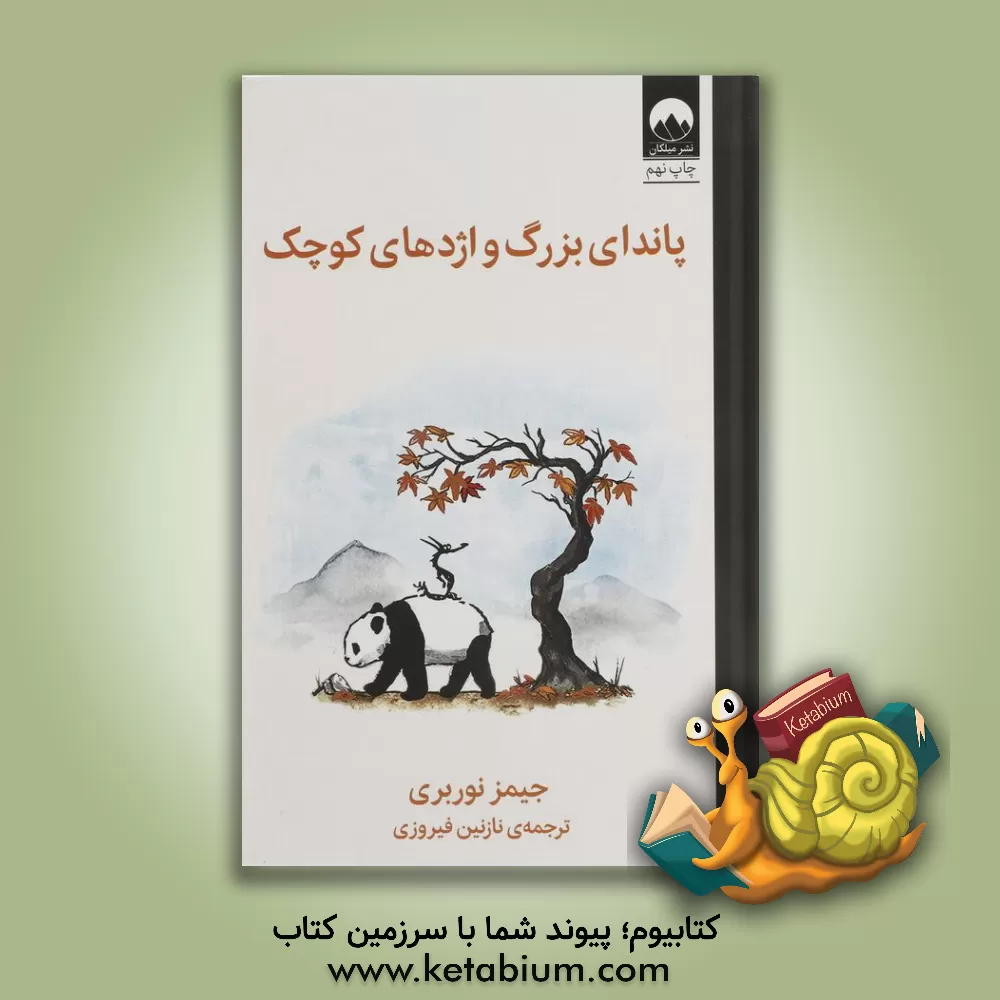 کتاب پاندای بزرگ و اژدهای کوچک اثر جیمز نوربری