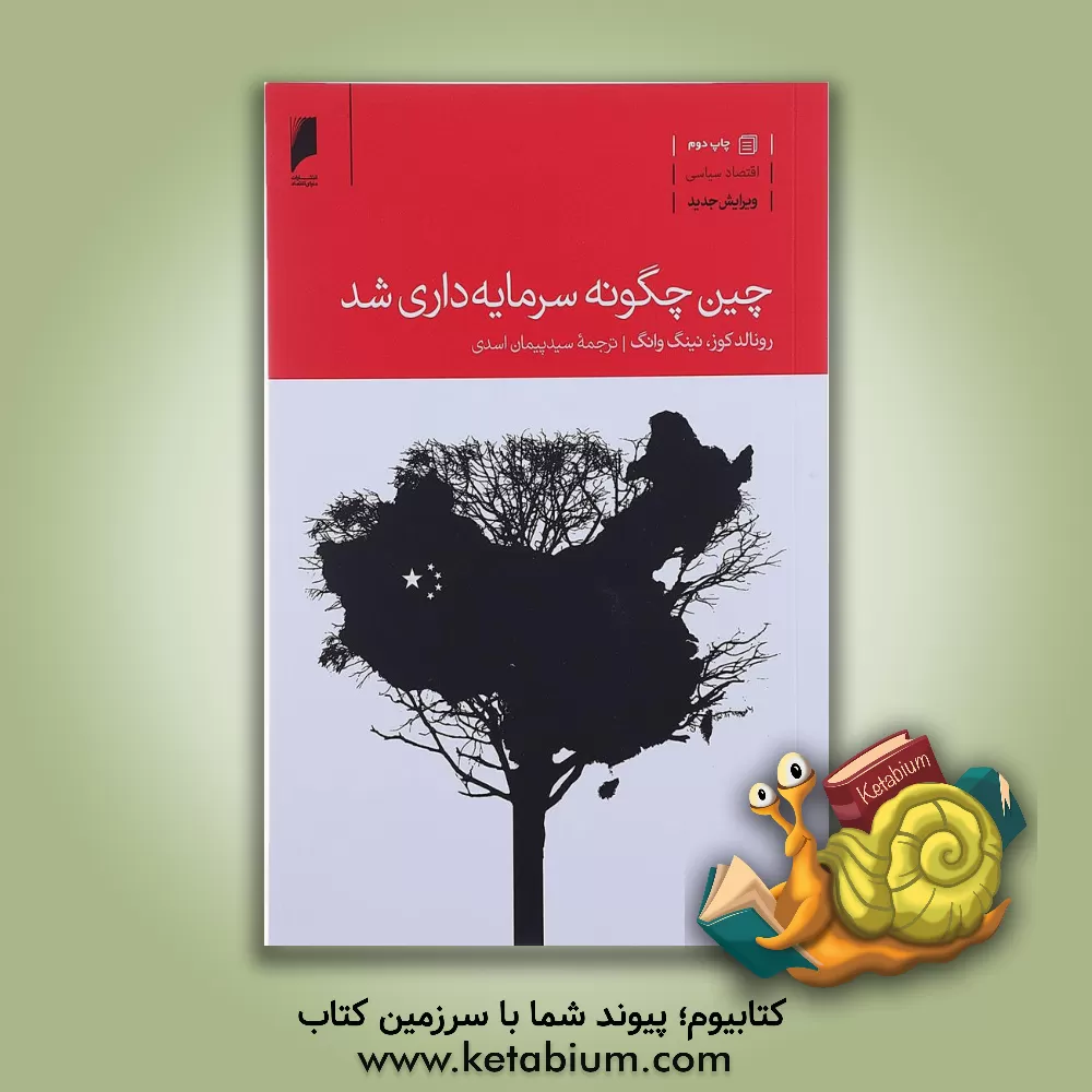 کتاب چین چگونه سرمایه‌داری شد؟ اثر رونالدهری کوز