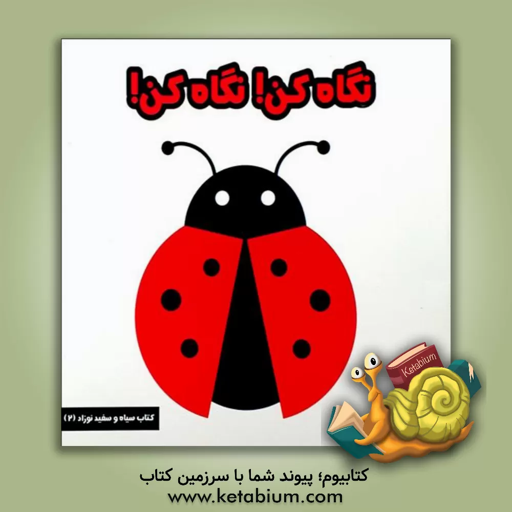 کتاب نگاه کن، نگاه کن اثر مینا یوسفی