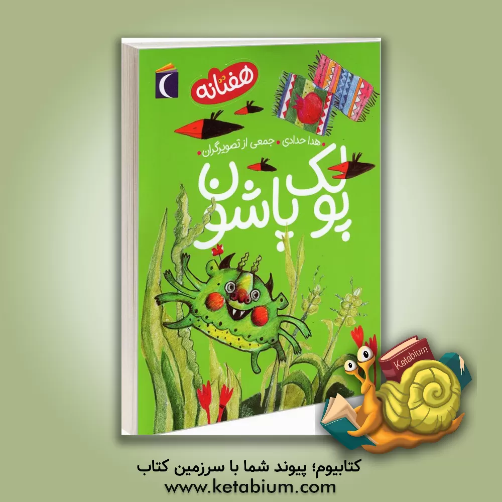 کتاب پولک پاشون اثر هدا حدادی