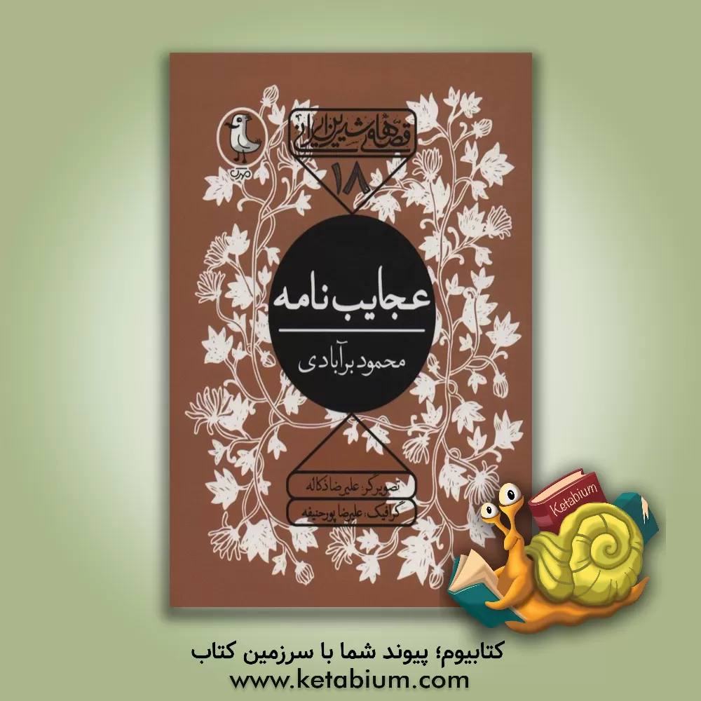 کتاب عجایب‌نامه اثر محمود برآبادی