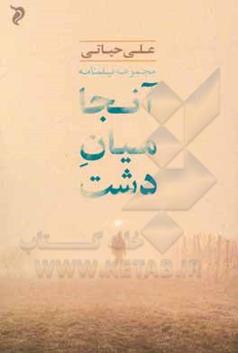 کتاب آن‌جا میان دشت: مجموعه فیلم‌نامه‌های کوتاه اثر علی حیاتی