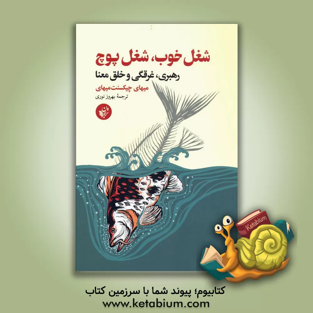 کتاب شغل خوب، شغل پوچ: رهبری، غرقگی و خلق معنا |اثر می هالی چیکسنت می هالی