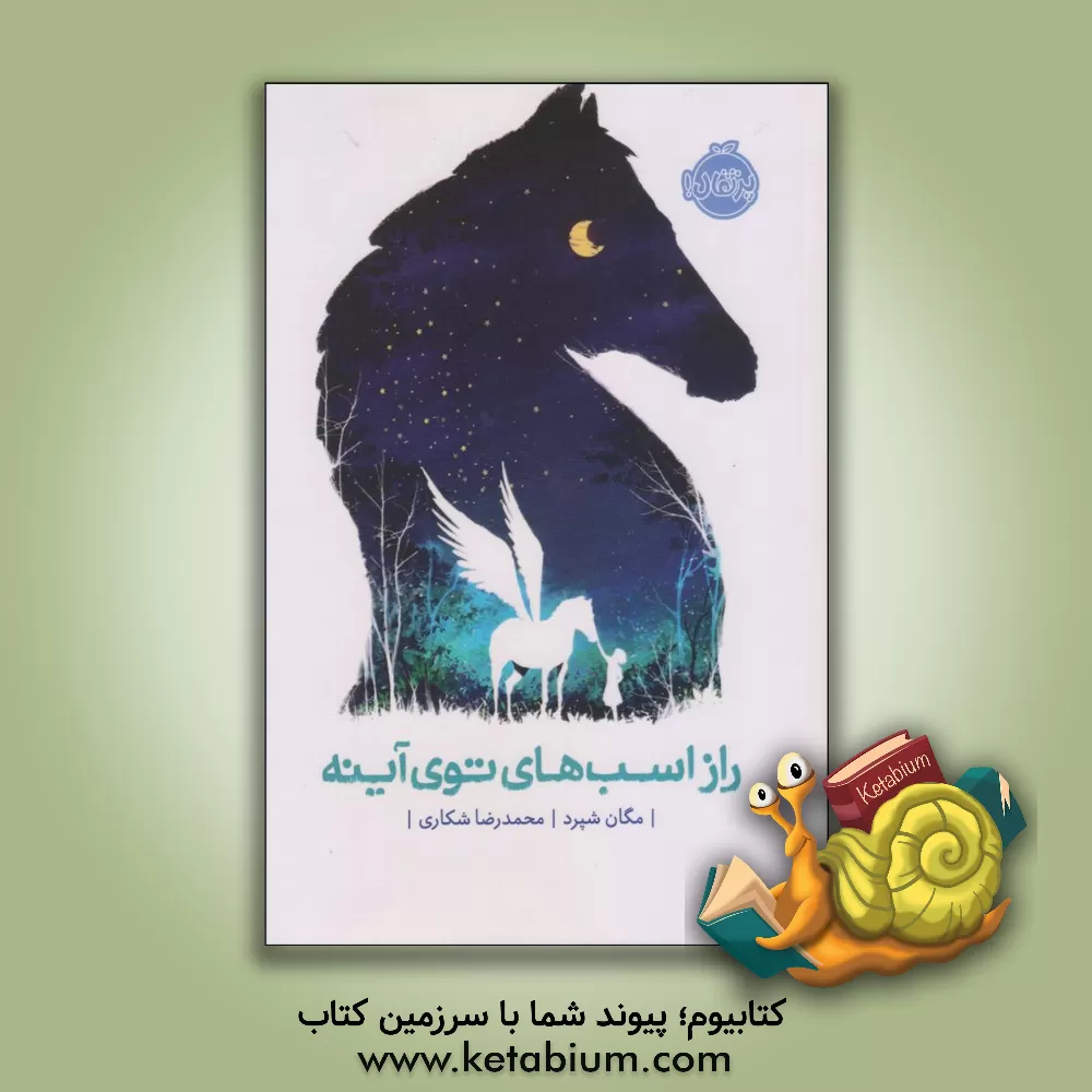 کتاب راز اسب های توی آینه اثر مگان شپرد