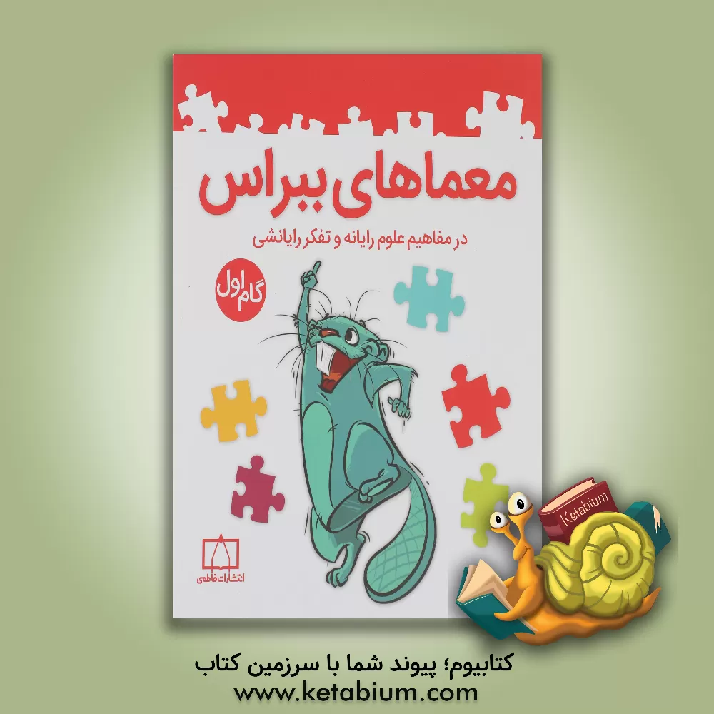 کتاب معماهای ببراس در مفاهیم علوم رایانه و تفکر رایانشی (گام اول) اثر امیرمحمد جذبی