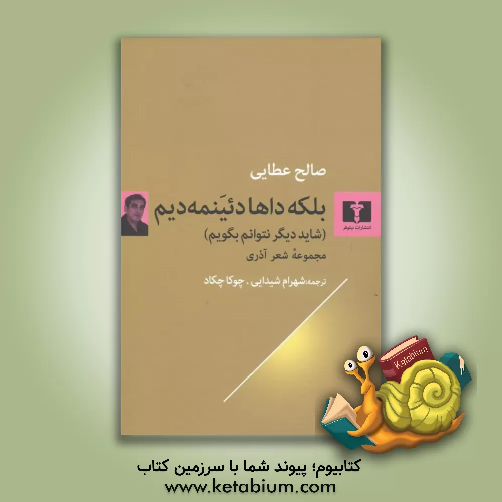 کتاب بلکه داها دئینمه دیم: شاید دیگر نتوانم بگویم اثر صالح عطایی