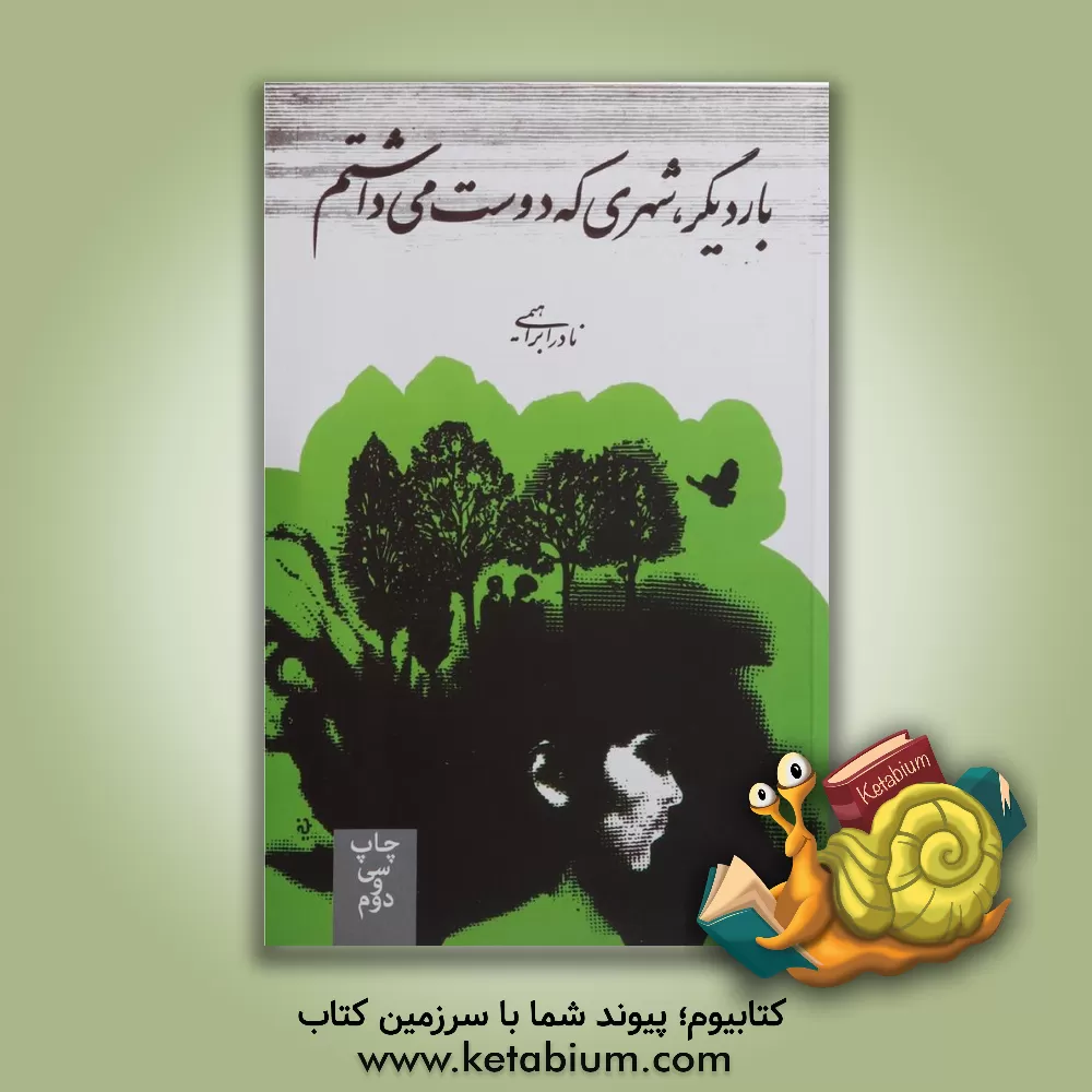 کتاب بار دیگر شهری که دوست می داشتم اثر نادر ابراهیمی