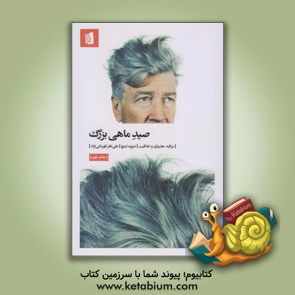 کتاب صید ماهی بزرگ: مراقبه، هشیاری و خلاقیت اثر دیوید لینچ