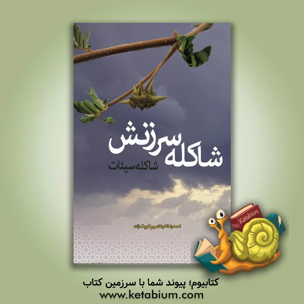 کتاب شاکله سرزنش، شاکله سیئات اثر محمدرضا اخوت