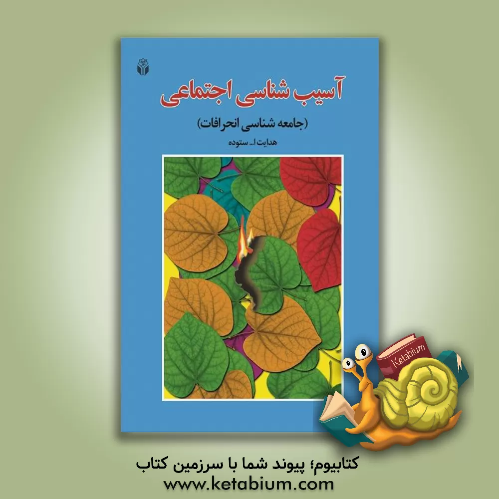 کتاب آسیب شناسی اجتماعی (جامعه شناسی انحرافات) |اثر هدایت الله ستوده