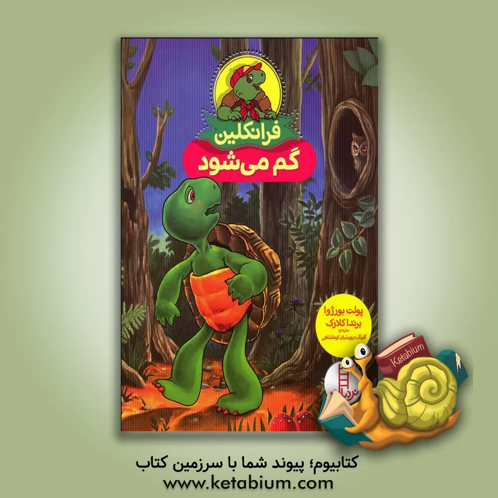 کتاب فرانکلین گم می‌شود اثر پولت بورژوا