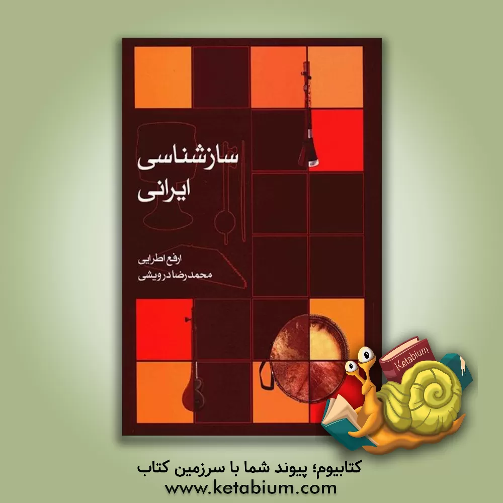 کتاب سازشناسی ایرانی اثر محمدرضا درویشی