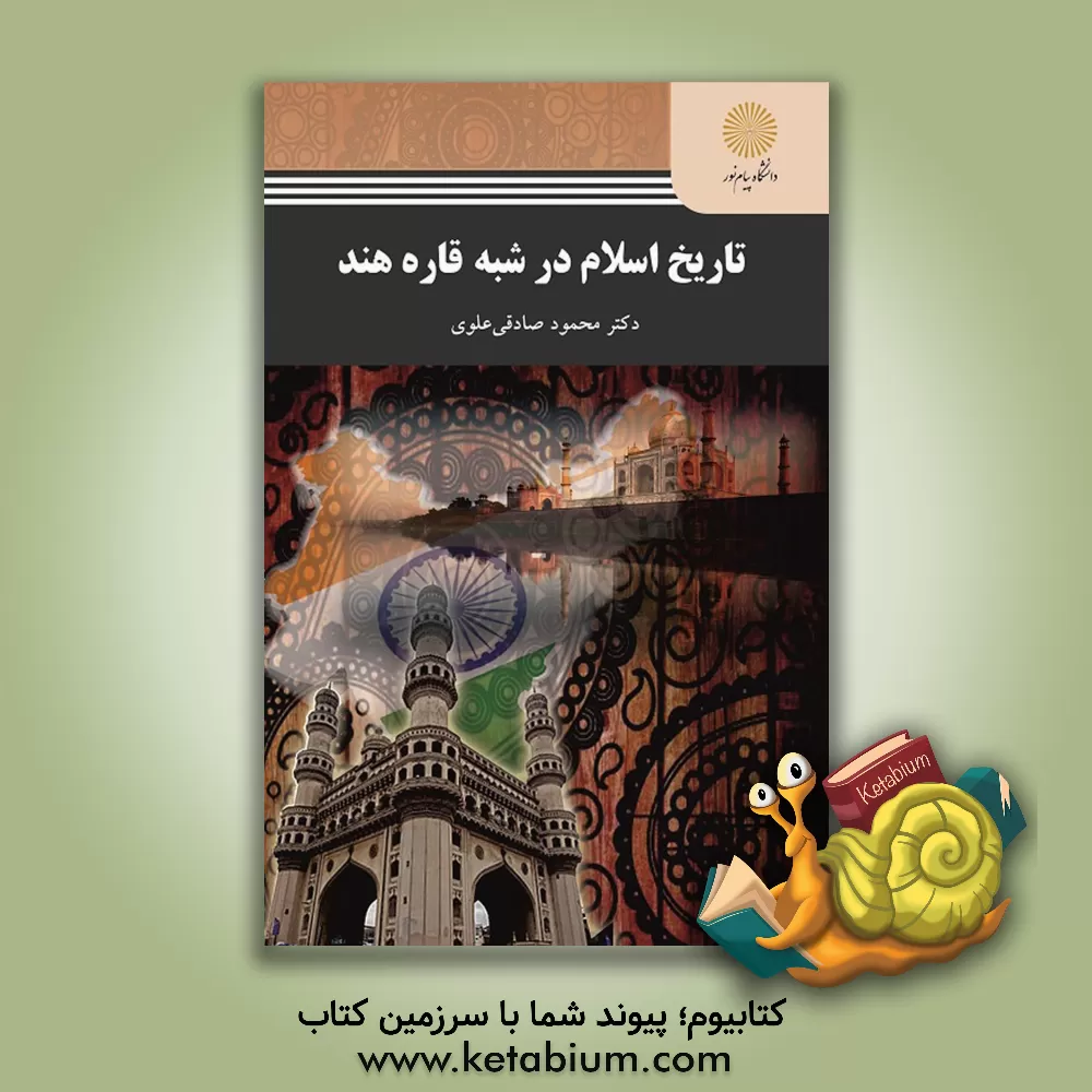 کتاب تاریخ اسلام در شبه قاره هند اثر محمود صادقی‌علوی