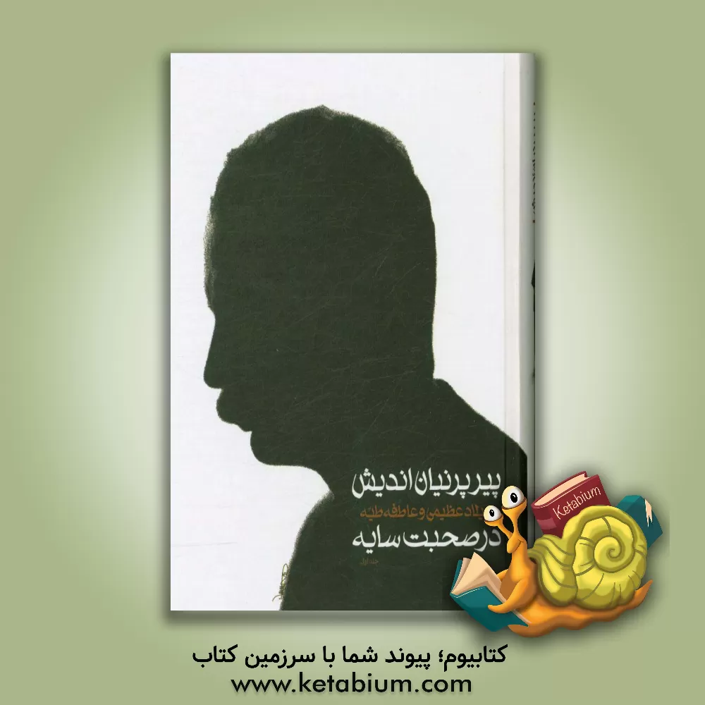 کتاب پیر پرنیان‌اندیش اثر میلاد عظیمی