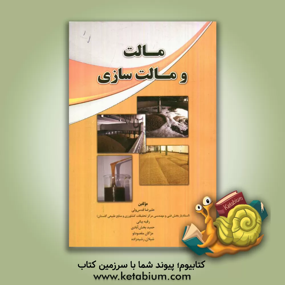 کتاب مالت و مالت سازی |اثر علیرضا قدس ولی