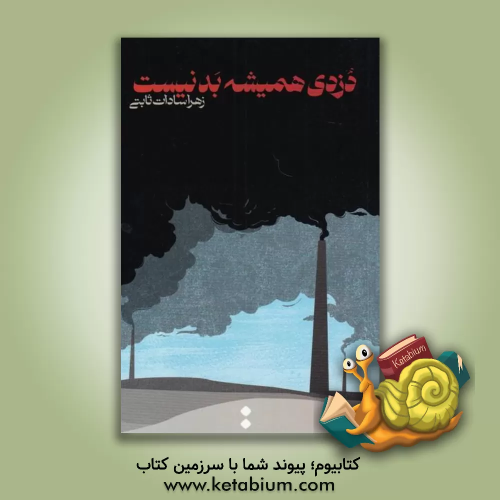 کتاب دزدی همیشه بد نیست اثر زهرا ثابتی