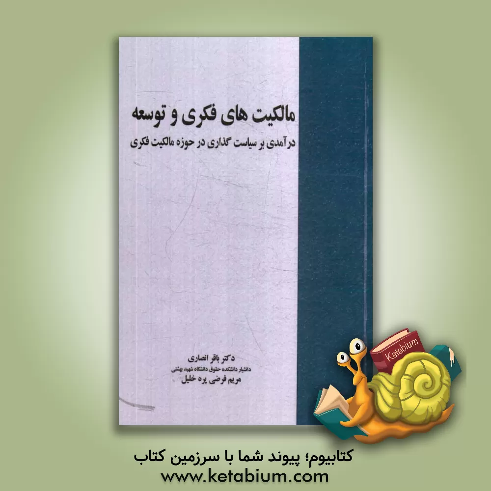 کتاب مالکیت های فکری و توسعه: درآمدی بر سیاست گذاری در حوزه مالکیت فکری اثر باقر انصاری
