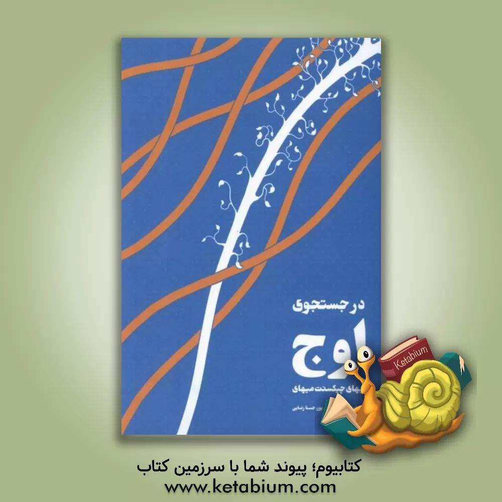 کتاب در جستجوی اوج اثر میهالی چیک‌سنت‌میهای