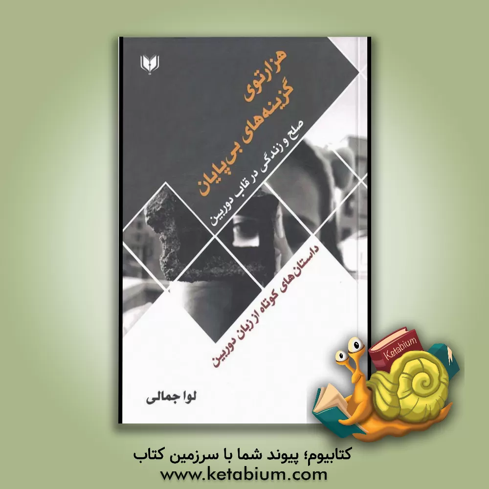 کتاب هزارتوی گزینه‌های بی‌پایان اثر لوا جمالی