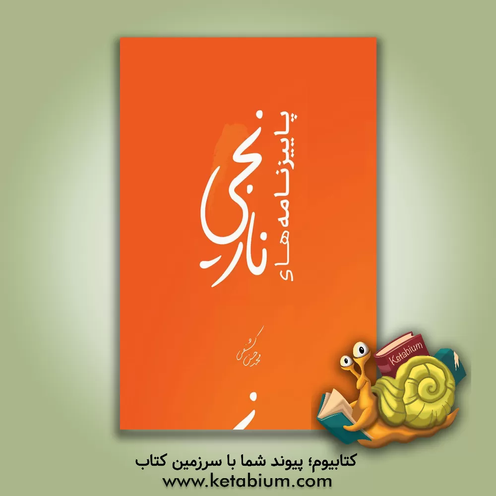 کتاب پاییزنامه‌های نارنجی اثر زهره چگنی