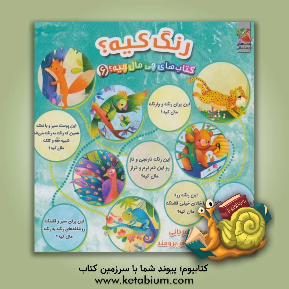 کتاب رنگ کیه؟ اثر مهدی مردانی