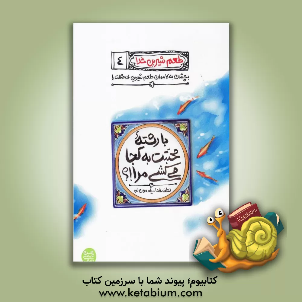 کتاب سکه‌های ویرانگر اثر محسن عباسی‌ولدی