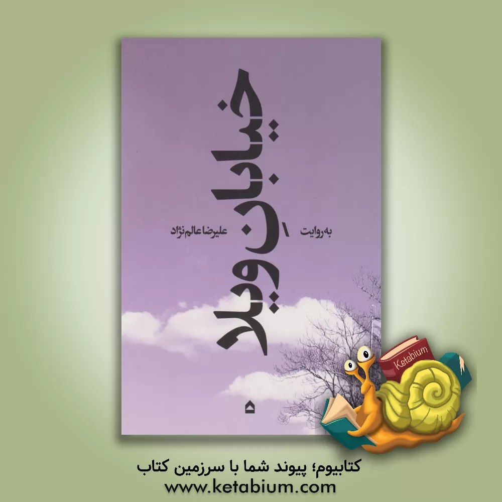 کتاب خیابان ویلا اثر علیرضا عالم‌نژاد