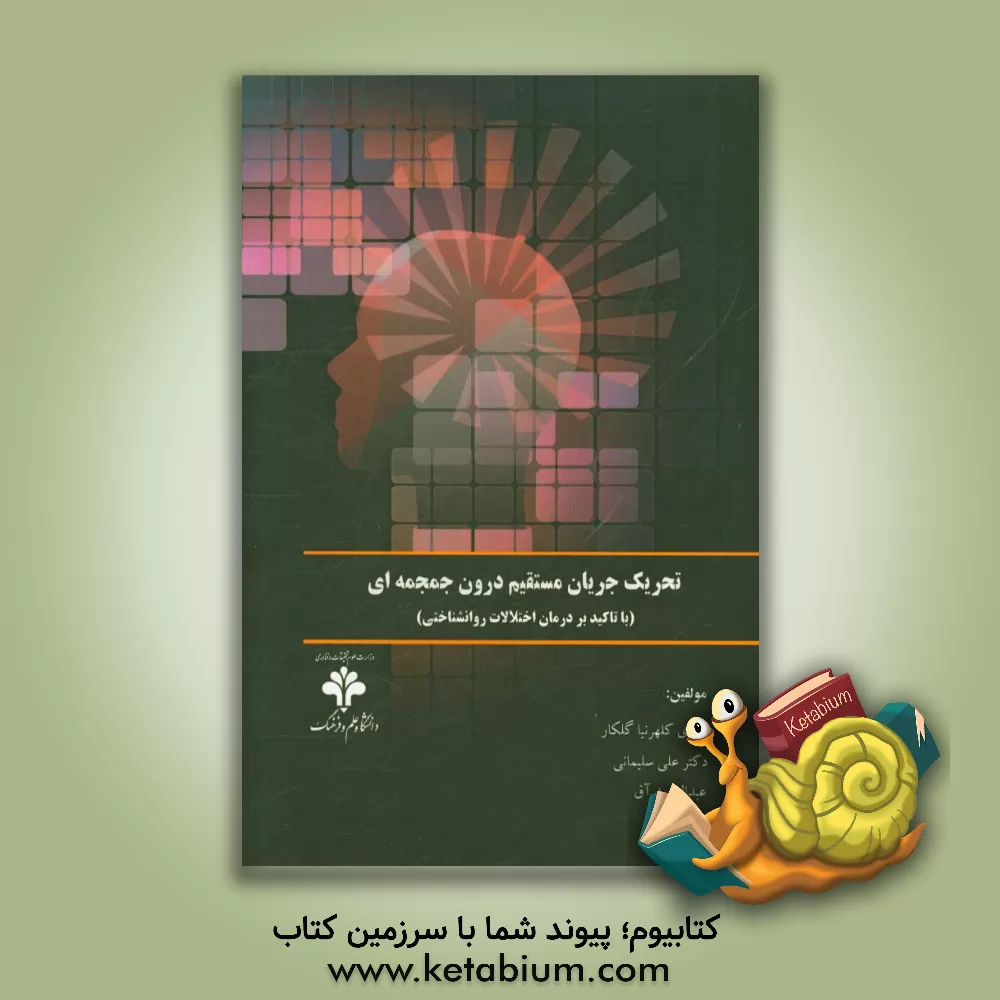 کتاب تحریک جریان مستقیم درون جمجمه ای (TDCS) (با تاکید بر درمان اختلالات روانشناختی) اثر علی سلیمانی