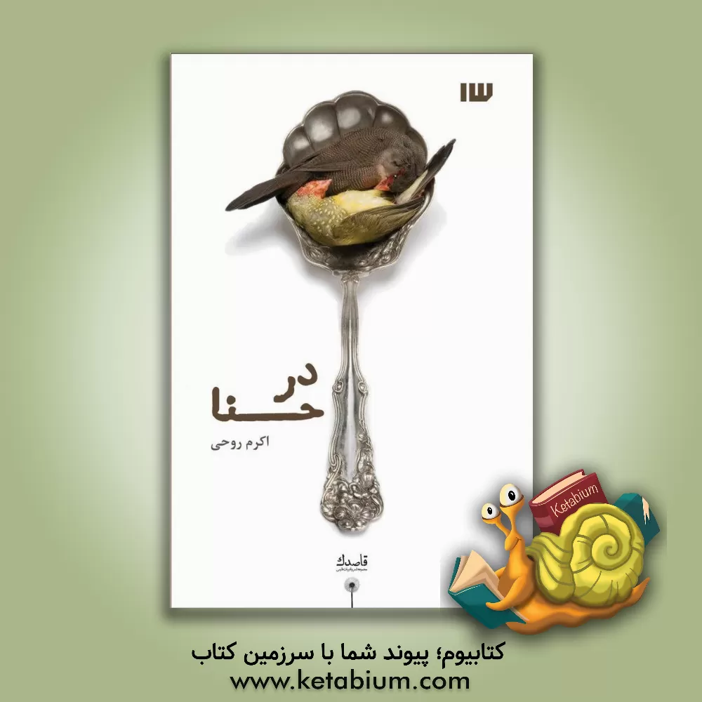 کتاب در حنا اثر اکرم روحی