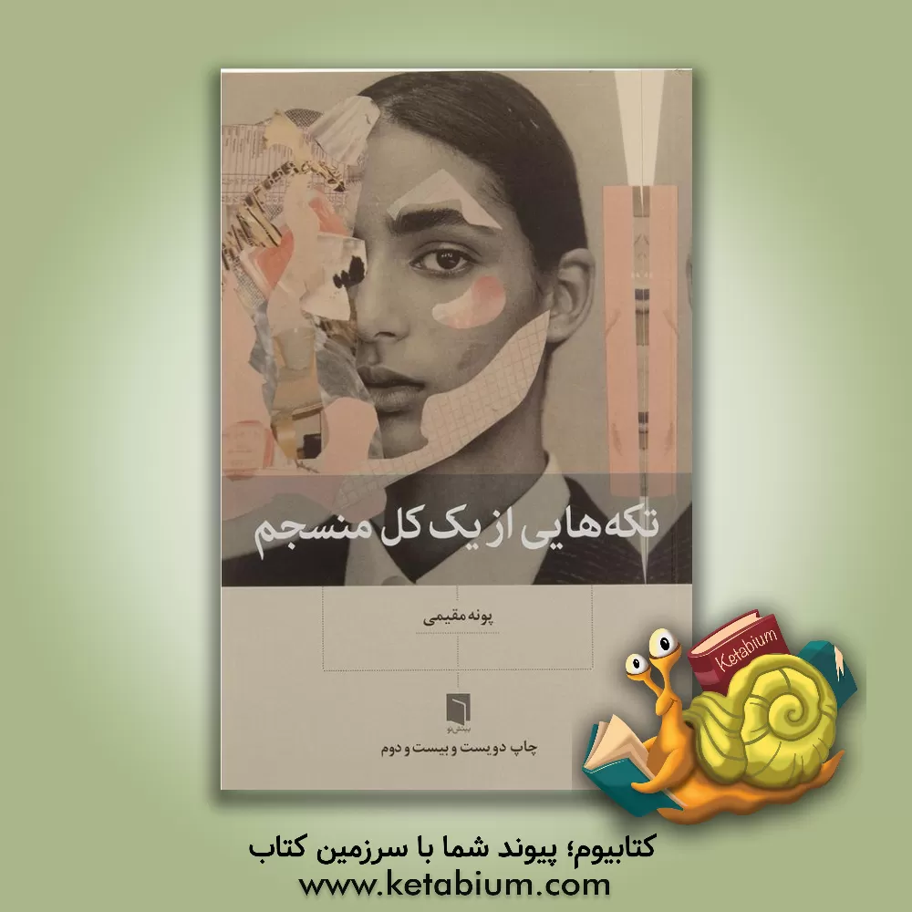 کتاب تکه هایی از یک کل منسجم |اثر پونه مقیمی