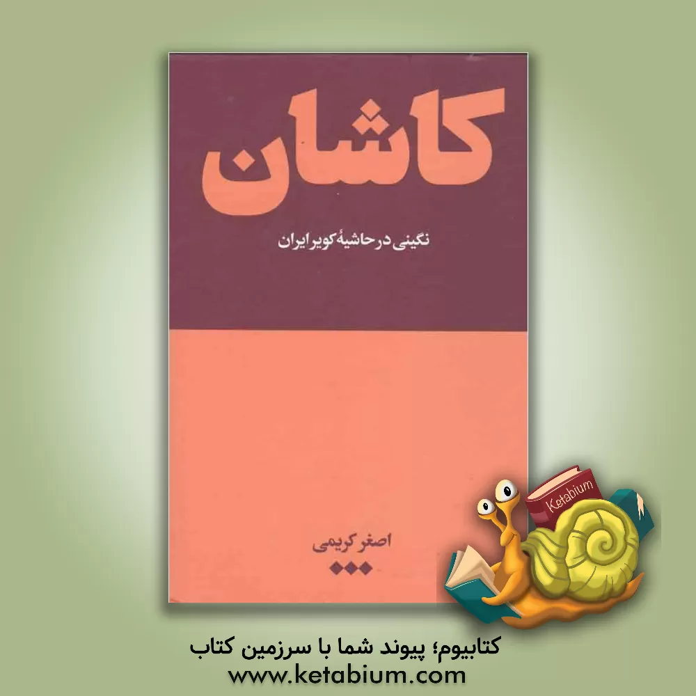 کتاب کاشان نگینی در حاشیه دشت کویر ایران اثر اصغر کریمی