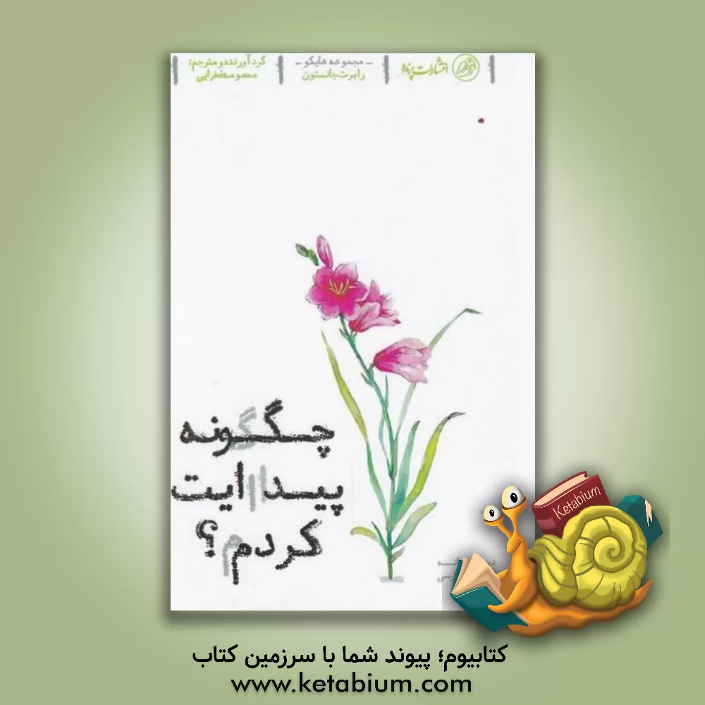 کتاب چگونه پیدایت کردم اثر رابرت جانستون