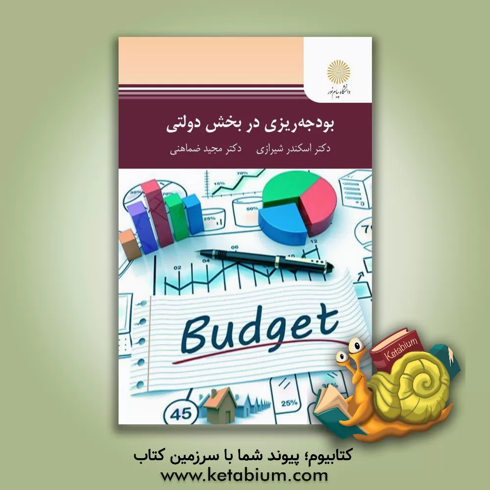 کتاب بودجه‌ریزی در بخش دولتی اثر اسکندر شیرازی