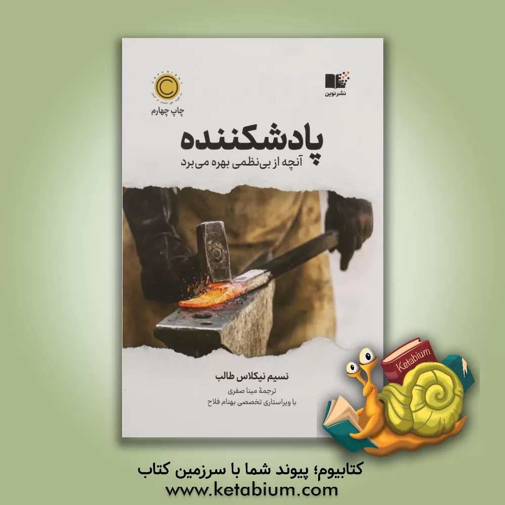 کتاب پادشکننده (آنچه از بی نظمی بهره می برد) |اثر مینا صفری