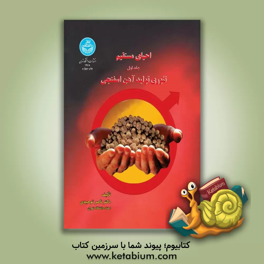 کتاب احیای مستقیم: تئوری تولید آهن اسفنجی (دوره دوجلدی) اثر ناصر توحیدی