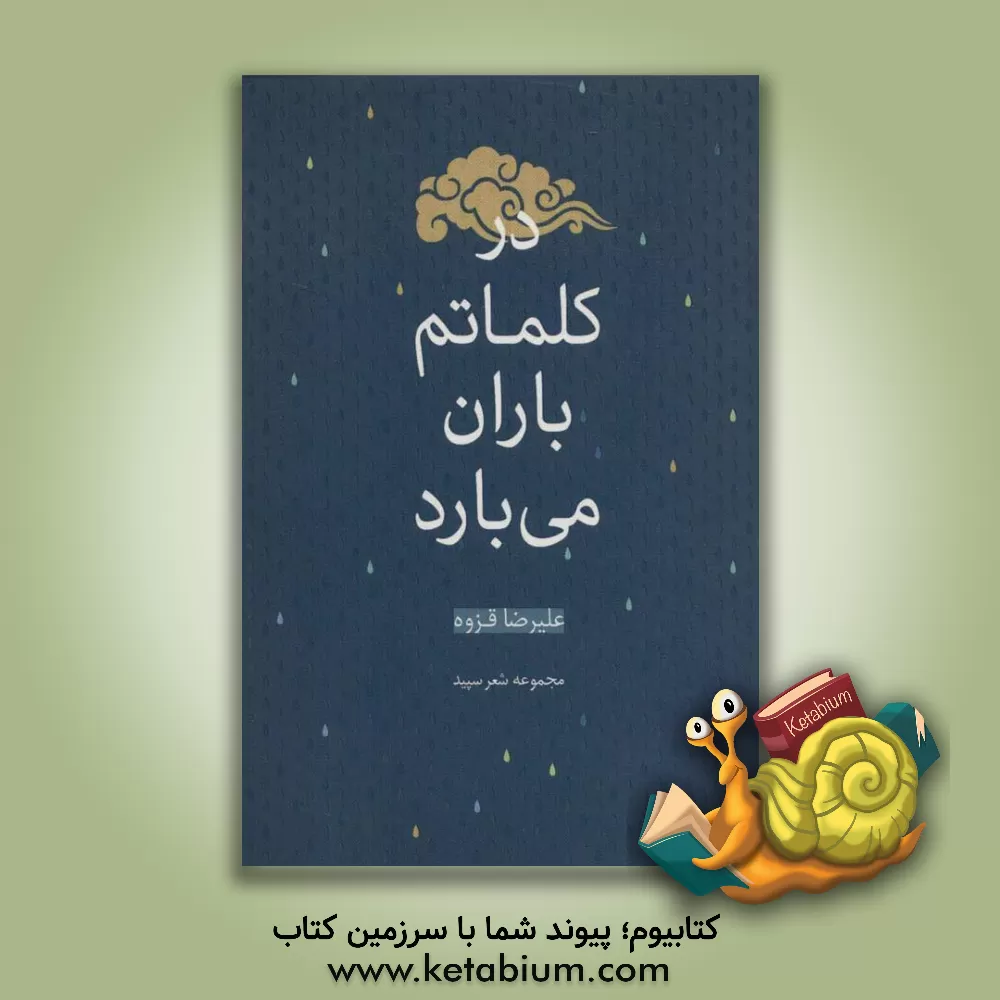 کتاب در کلماتم باران می بارد اثر علیرضا قزوه