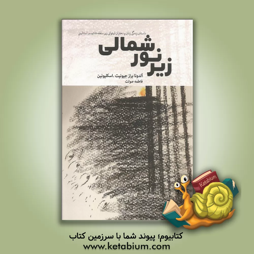 کتاب زیر نور شمالی اثر آلدونا برازجیونیت اسکلیونین