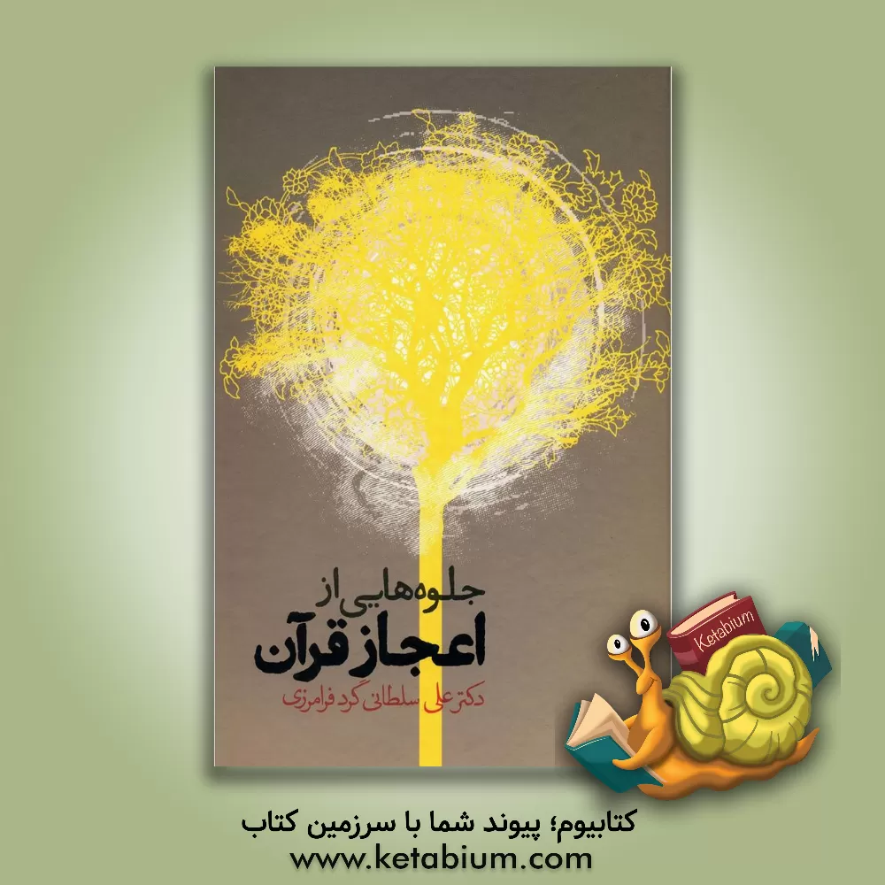 کتاب جلوه‌هایی از اعجاز قرآن اثر علی سلطانی‌گردفرامرزی