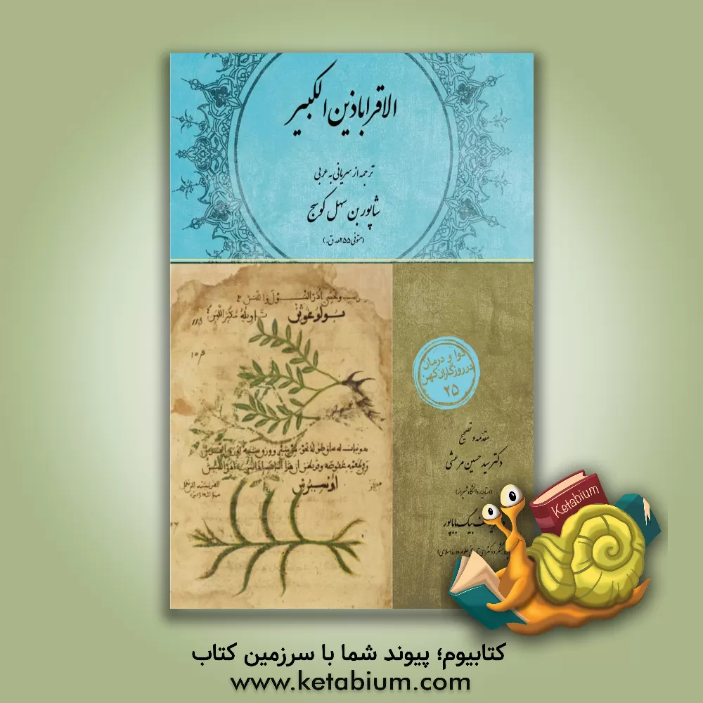 کتاب الاقراباذین‌الکبیر اثر شاپوربن‌سهل