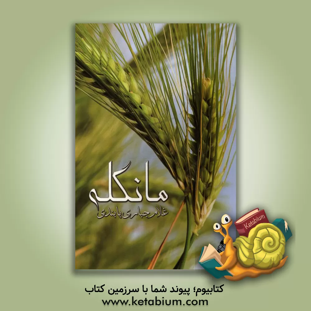 کتاب مانگله اثر غلام جباری‌پابندی