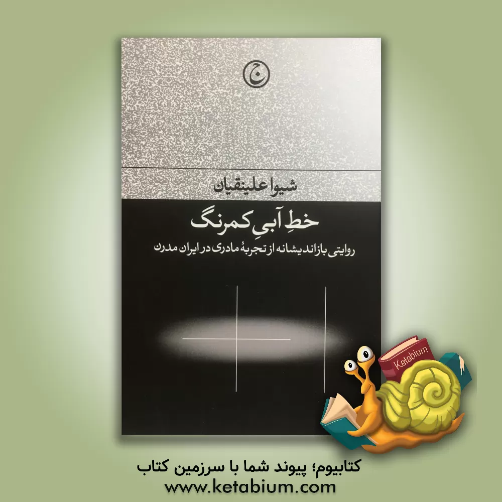 کتاب خط آبی کمرنگ: روایتی بازاندیشانه از تجربه مادری در ایران مدرن اثر شیوا علینقیان