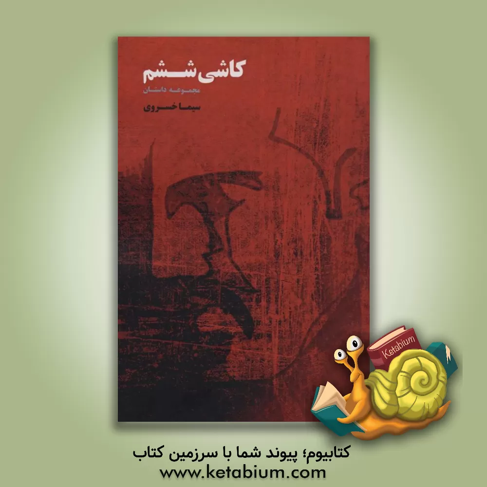 کتاب حمایت روانی اجتماعی در وضعیت زنان پس از فاجعه اثر سیده‌ارمغان سقراط