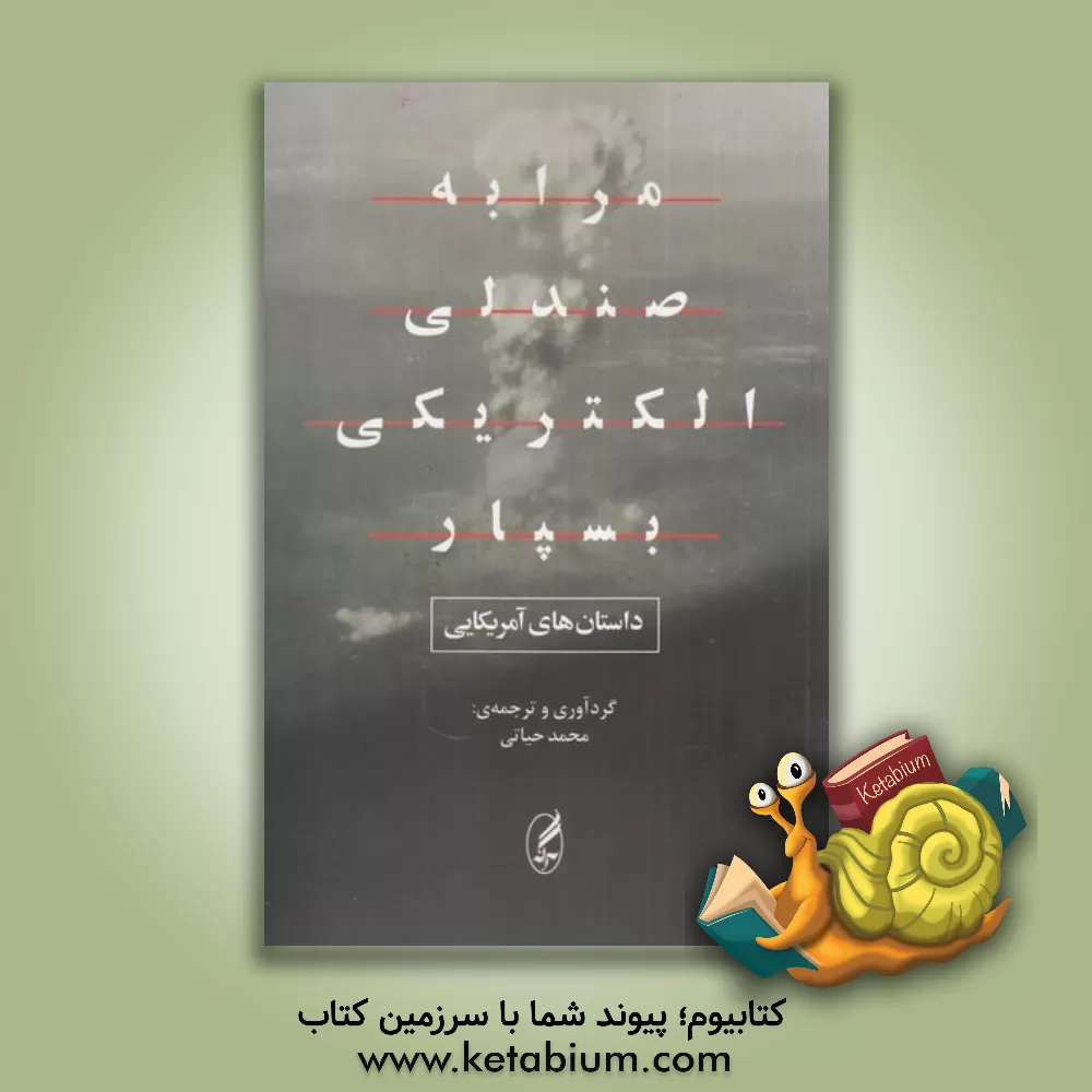 کتاب مرا به صندلی الکتریکی بسپار اثر آنی پرولکس