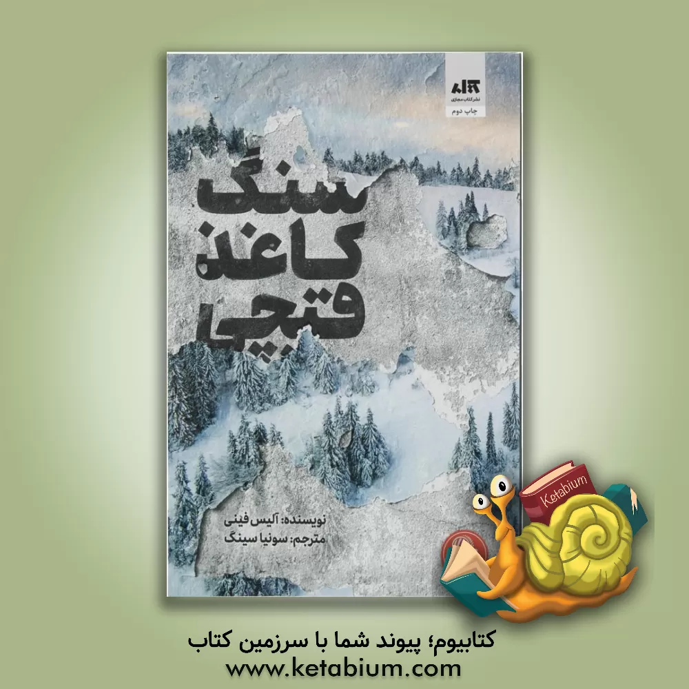 کتاب سنگ، کاغذ، قیچی اثر آلیس فینی