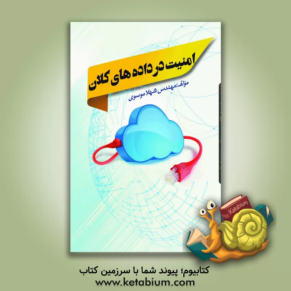 کتاب امنیت در داده‌های کلان (Big data) اثر شهلا موسوی