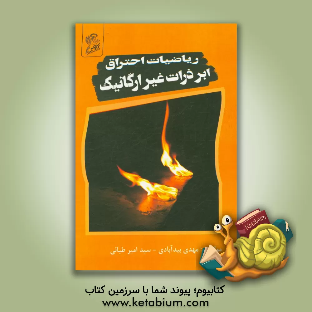 کتاب ریاضیات احتراق ابرذرات غیرارگانیک اثر مهدی بیدآبادی